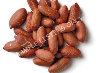 Raw Liberia Groundnuts