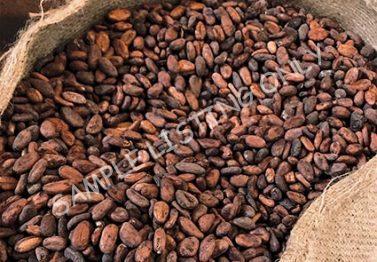 Liberia Cocoa Beans