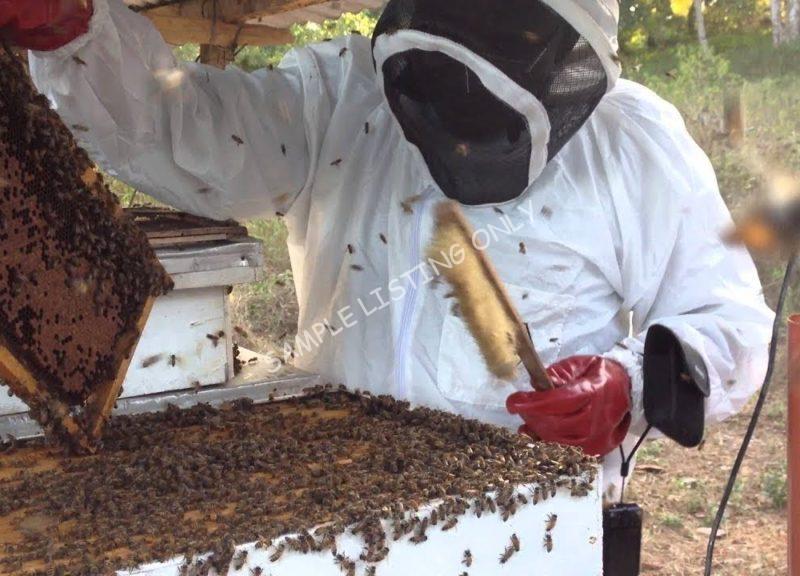 Sweet Liberia Honey